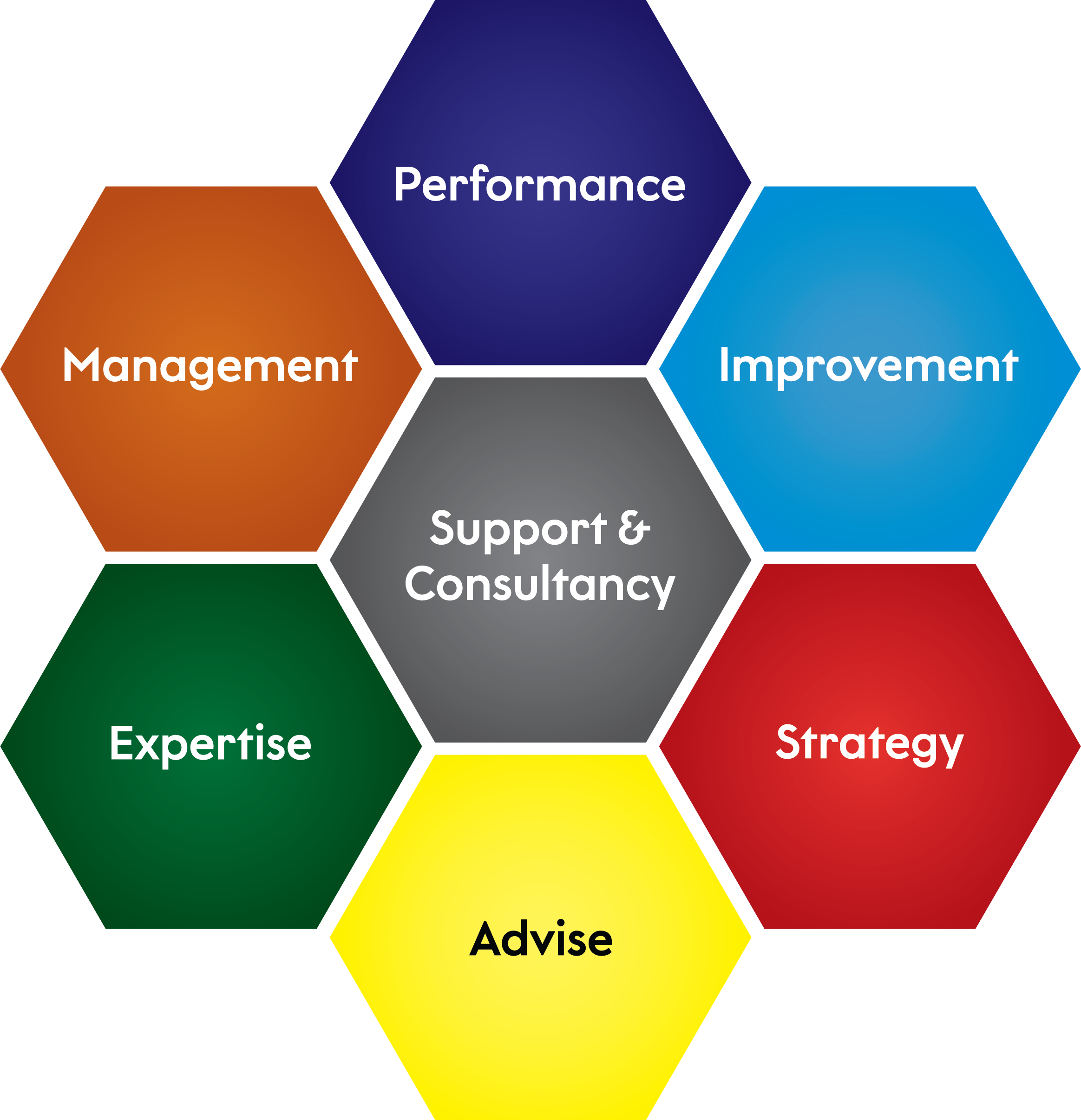 Support & Consultancy